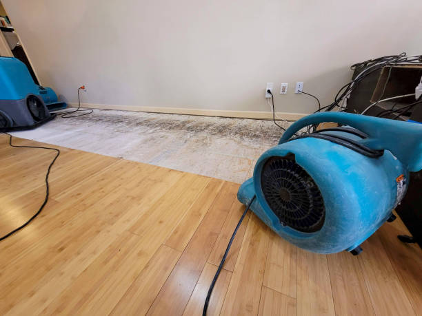 Professional Water Extraction technician working in Sand Lake, MI